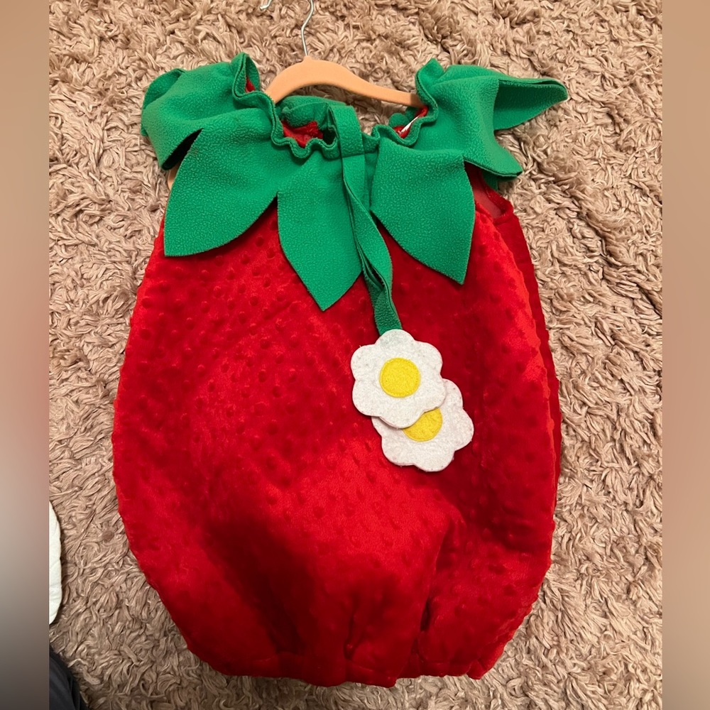 Halloween Costume Strawberry